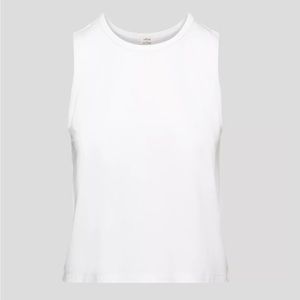 Aritzia Wilfred Beach tank top